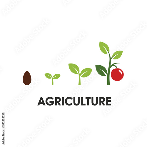 Agriculture Growth Cycle: Seed to Fruiting Plant