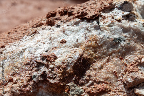 Slika na platnu Close-up of a white quartz rock partially covered with red soil, showing natural textures, mineral details, and earthy tones