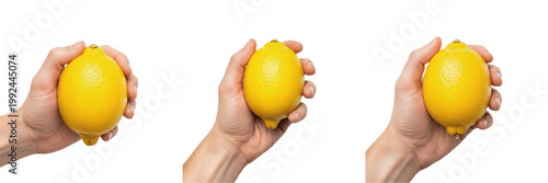 Hand holding a lemon Citrus limon citrus fruit Limón Citron Zitrone vitamin C rich organic juicy yellow fruit farm fresh produce health booster nutrition tart sour fruit stock photography