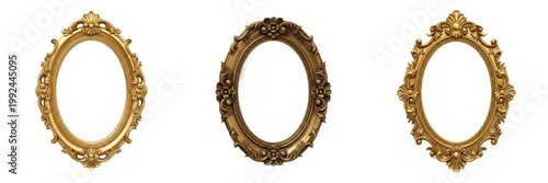 Картината върху платно Ornate Antique Oval Picture Frame - Vintage Gold Border for Art Galleries, Home