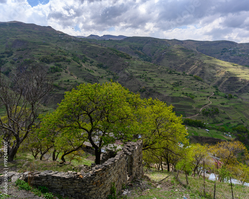 Scenic view of a mountain landscape with green trees and an old stone wall