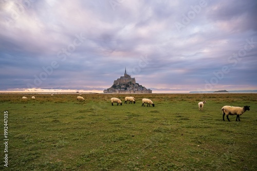 Scenic view of Abbey Mont Saint-Michel at sunset, famous tourist landmark in France. Normandy. Copyspace banner