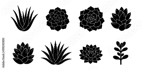 Set of hand drawn succulent plants, cacti and aloe vera, black silhouettes