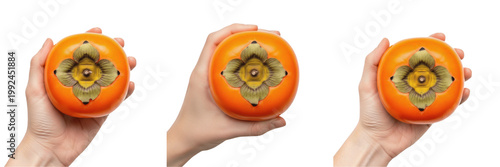 Billede på lærred Hand holding ripe persimmon close-up - Diospyros kaki (Caqui / Kaki) - Fresh Org