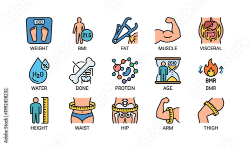 Body composition and measurement icons on white background