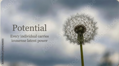 Muted Dandelion Seed Head Next to Cloud-like Sky
