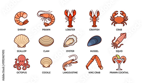 Seafood icons showing shellfish and crustaceans on white