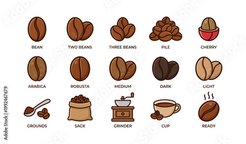 Coffee beans and brewing icons arranged on white background