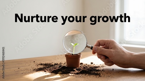 Minimalist Setup Featuring Magnifying Glass Over Plant