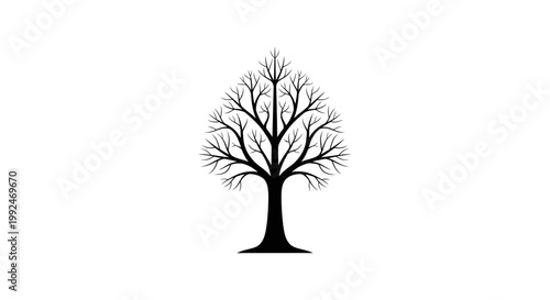 A monochrome illustration of a tree silhouette with intricate branches