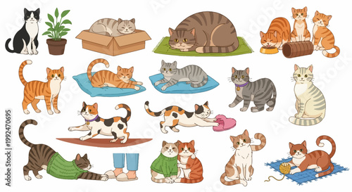 Vector cat icons, cute feline illustrations, colorful pets, cartoon animals, 20 cat graphics