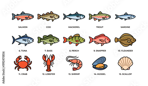 Fish illustrations identifying species and shellfish in rows