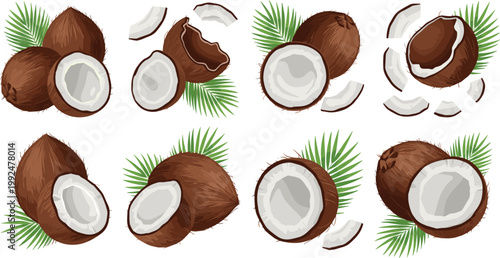 Coconut fruit set with cracked shells and slices, tropical palm leaves composition illustration isolated on white background for food and summer design