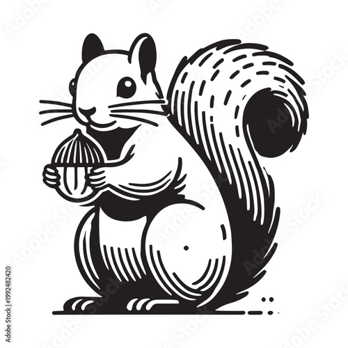 Black and white illustration of a squirrel holding an acorn