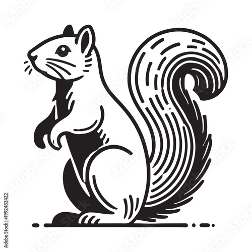 Black and white illustration of a standing squirrel