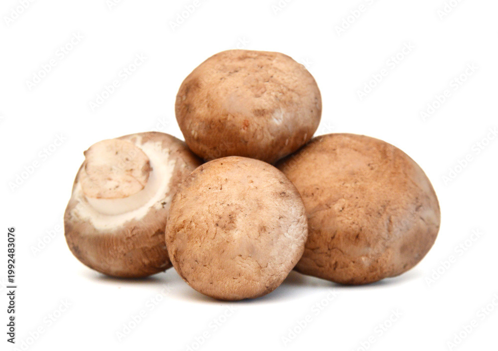 Fototapeta premium Common mushrooms on white background