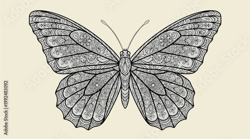 Detailed Black and White Butterfly Illustration.