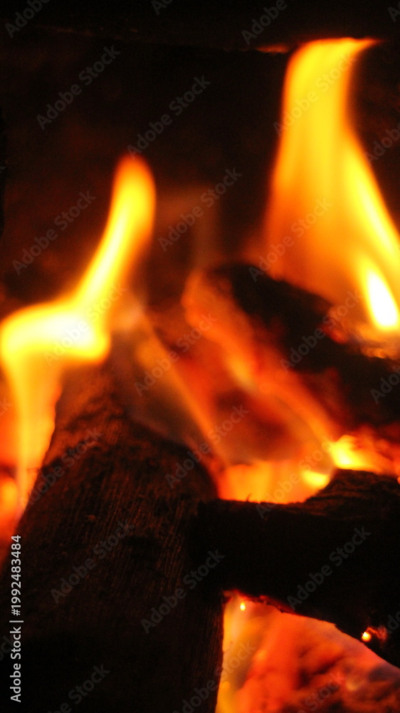 Fototapeta premium Close Up Bonfire Burning Logs