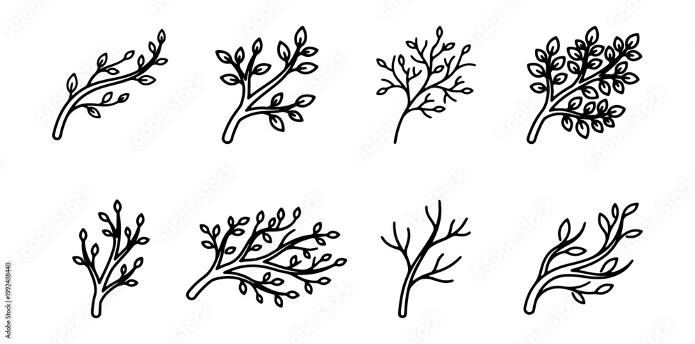 Fototapeta premium Set of hand drawn tree branches with leaves, doodle style botanical elements for design
