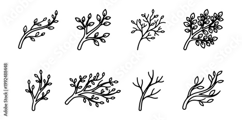 Set of hand drawn tree branches with leaves, doodle style botanical elements for design
