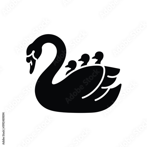 A black swan gracefully swims with three cygnets following closely behind