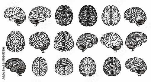Collection of detailed anatomical illustrations of the human brain from various angles and perspectives, in black and white.