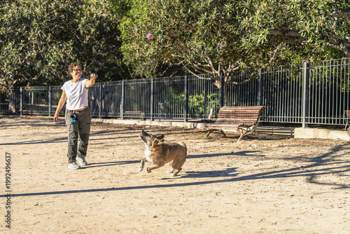 Woman playing with dog in sunny park throwing ball