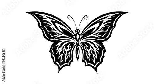 Intricate black and white butterfly with detailed wing patterns.