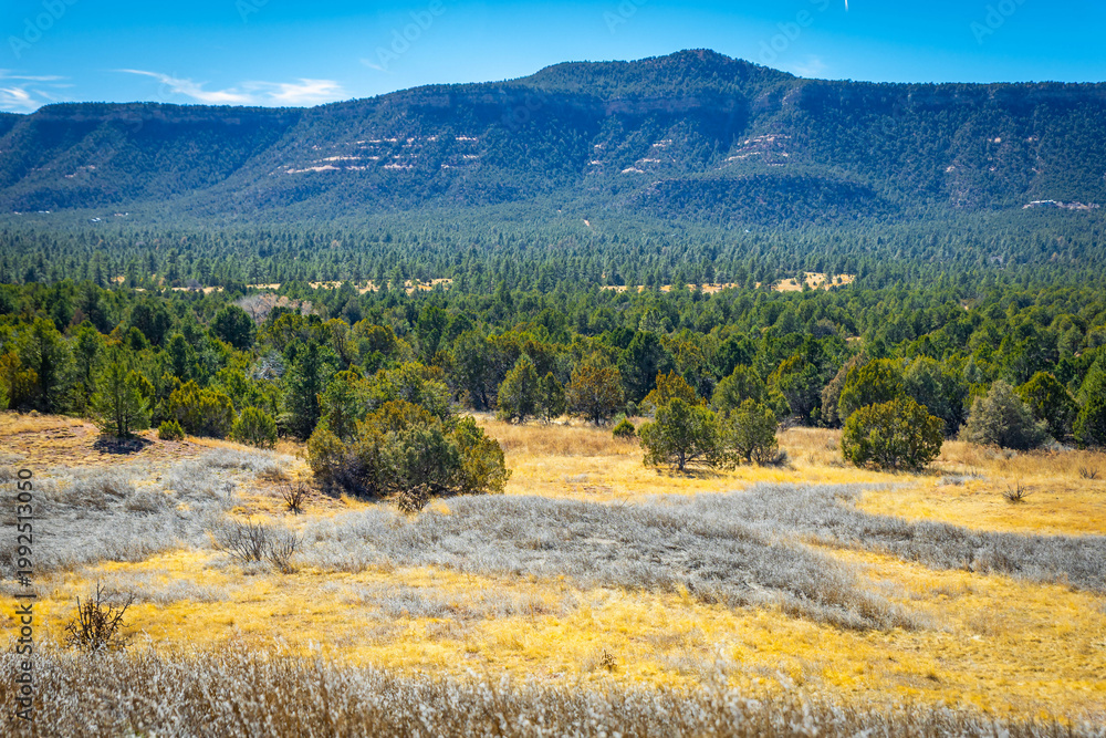 Obraz premium Scenic Landscape of Pecos National Historical Park New Mexico