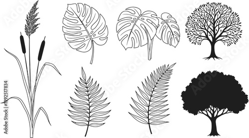Diverse botanical illustration set with various plant elements including fern leaves, tropical monstera, cattails, and distinct tree silhouettes, perfect for nature-themed graphic design