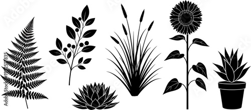 Artistic Silhouettes of Diverse Botanical Elements Including Elegant Ferns, Majestic Sunflowers, and Serene Aquatic Plants, Ideal for Natural-Themed Design