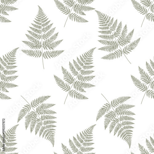 Seamless pattern with green fern leaves on a white background.