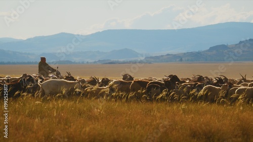 Canvastavla Golden light bathes vast, open grasslands