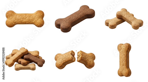 Assortment of dog bone biscuits and treats in whole, stacked and broken arrangements on a transparent background