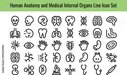 Collection of simplified line art icons representing human anatomy and internal medical organs on transparent background