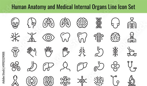 Professional collection of human anatomy and internal organs medical line vector icons presented together on transparent background