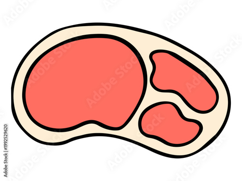 肉の手描きイラスト