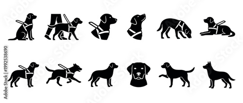 Vector illustration set of service dogs and pet dog silhouettes showing different poses and activities for various uses.