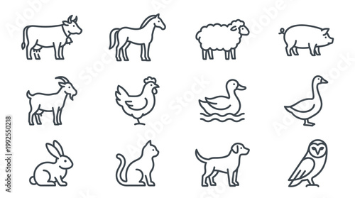 Variety of Farm and Domestic Animals.