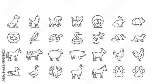 Variety of Farm and Domestic Animals.