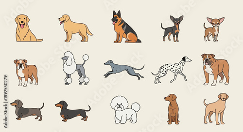Dogs of different breeds and colors.