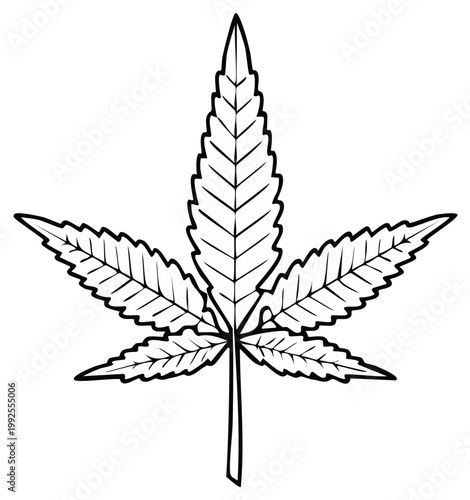 Cannabis sativa leaf outline design graphic resource isolated vector illustration