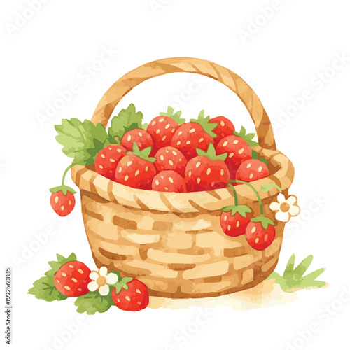 A clean vector art of one basket packed with plenty of strawberries, illustrated with smooth lines and a fresh look, creating a delightful and natural fruit themed composition