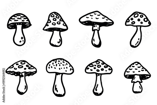 Hand drawn mushroom doodle set Botanical illustration Cute autumn mushroom Healthy eco food Organic vegetarian food For stickers, greeting card, design, print, packaging, decor, kids books