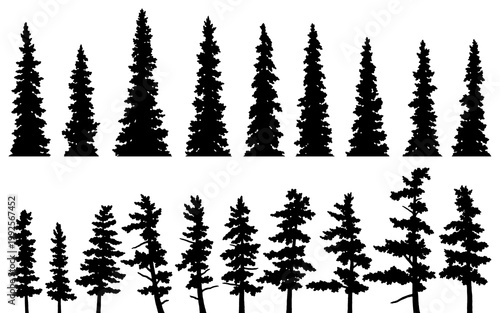 Hand-drawn black silhouette illustrations of fir trees and pine trees isolated on a transparent background
