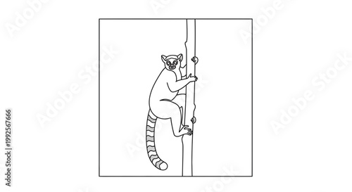 Ring-tailed Lemur Climbing Tree Trunk - Line Art Illustration