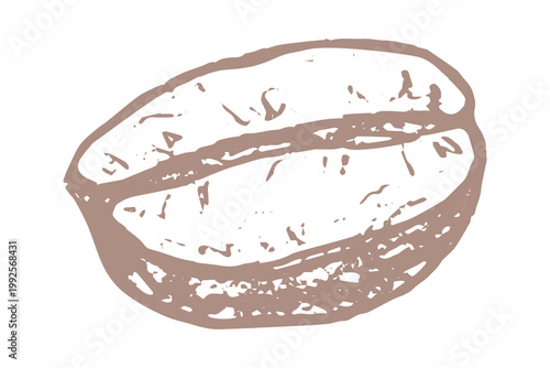 Hand drawn fresh roasted coffee bean Arabica robusta seed doodle Single element for print, web, design, decor