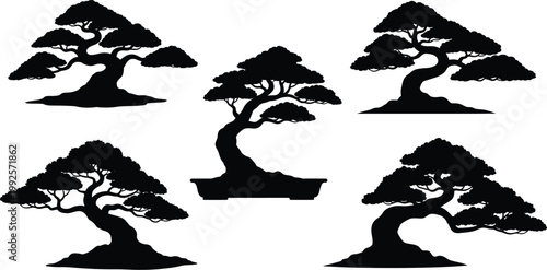 Bonsai tree black and white silhouettes