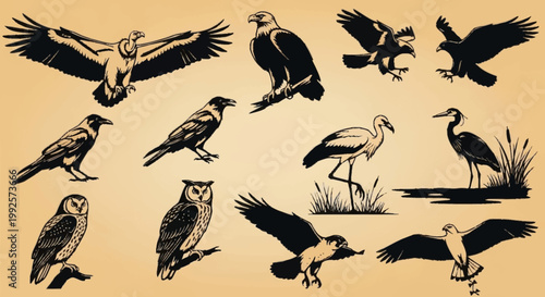 Simple collection of bird silhouettes showing various flying and standing birds in nature