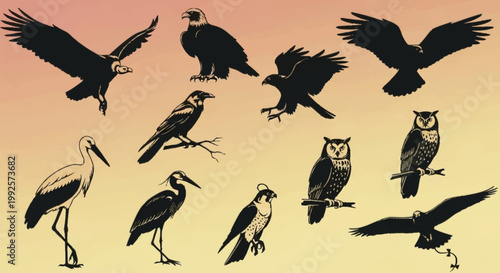 Simple vector set of bird silhouettes featuring various flying birds in nature